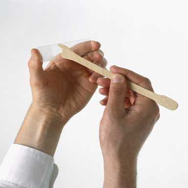 PAP Smear Kit (Endocervical Brush and Spatula)