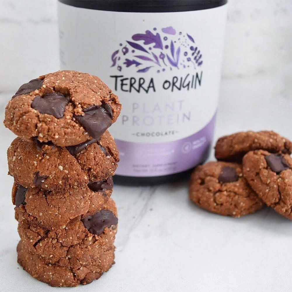 4 - Terra Origin Plant Protein,  Vanilla Chai  0.94 lb 