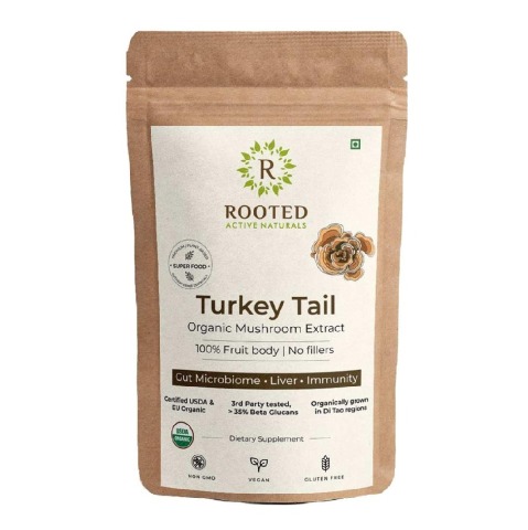 1 - Rooted Active Naturals Turkey Tail Organic Mushroom Extract,  60 g 