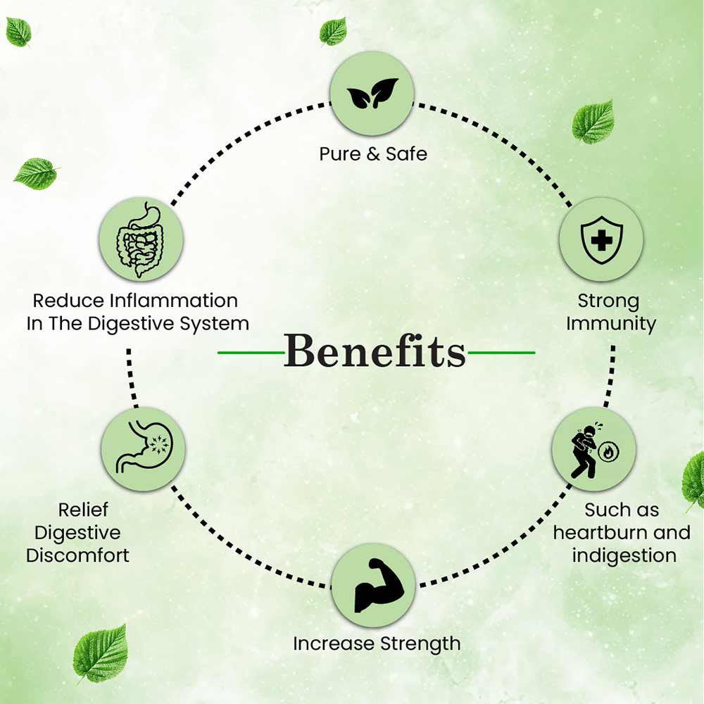 5 - Cipzer Ginger,  30 capsules 