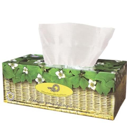 Fresh Ones Perfumed Dry Tissue Box,  100 Piece(s)/Pack  Perfumed 