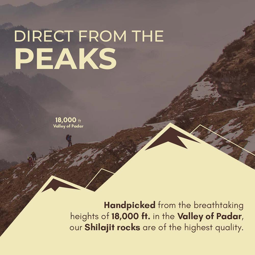 4 - Rasayanam Pure Himalayan Shilajit,  20 g 