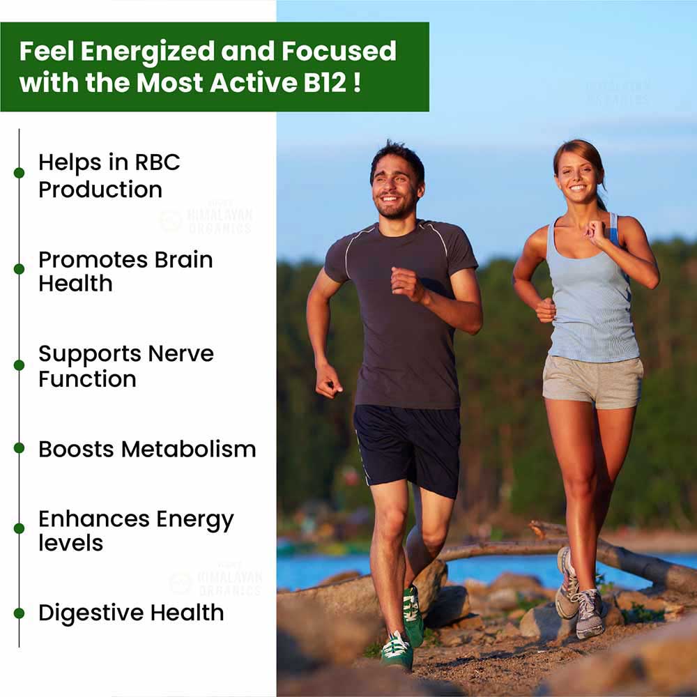 4 - Vlado's Himalayan Organics Methylcobalamin Vitamin B12 500mcg,  60 tablet(s)  Unflavoured 