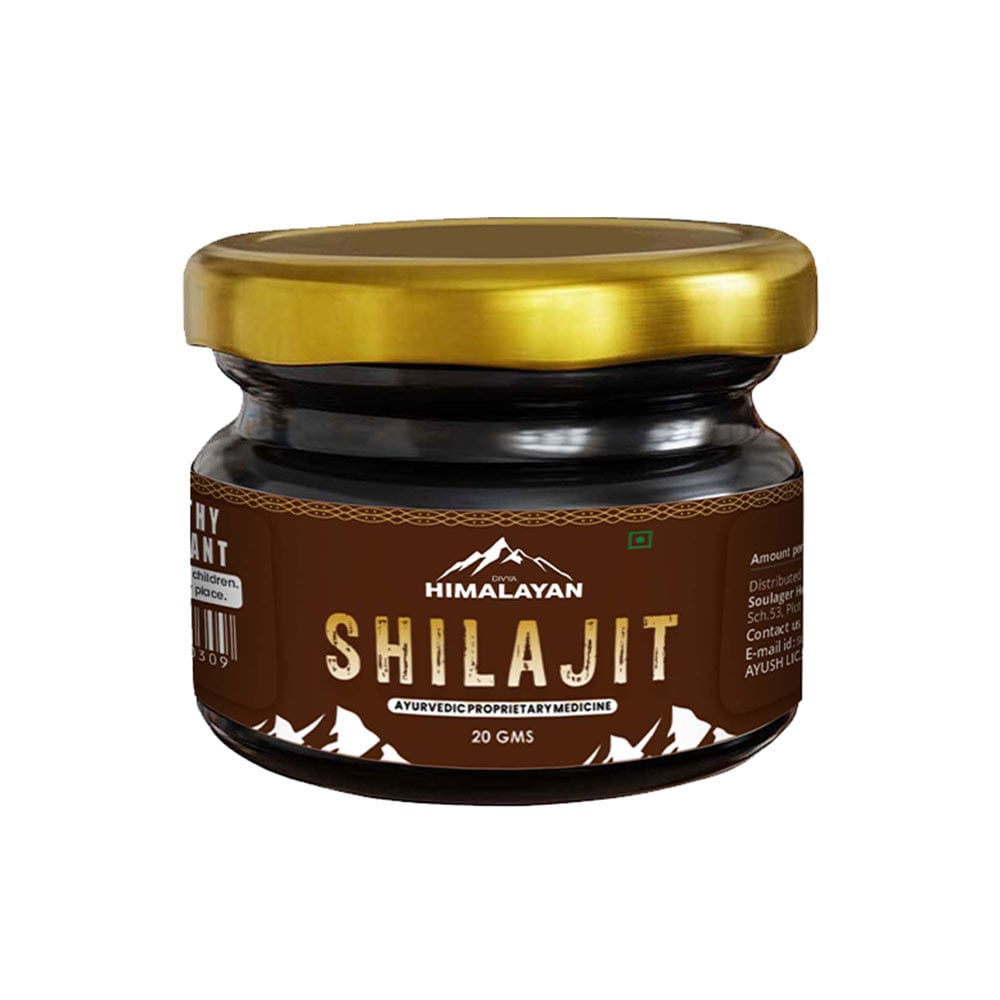 1 - Divya Himalayan Shilajit Resin,  20 g 