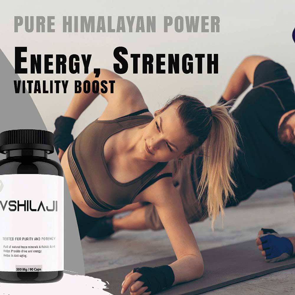 2 - Vitaminhaat Shilajit,  90 capsules 