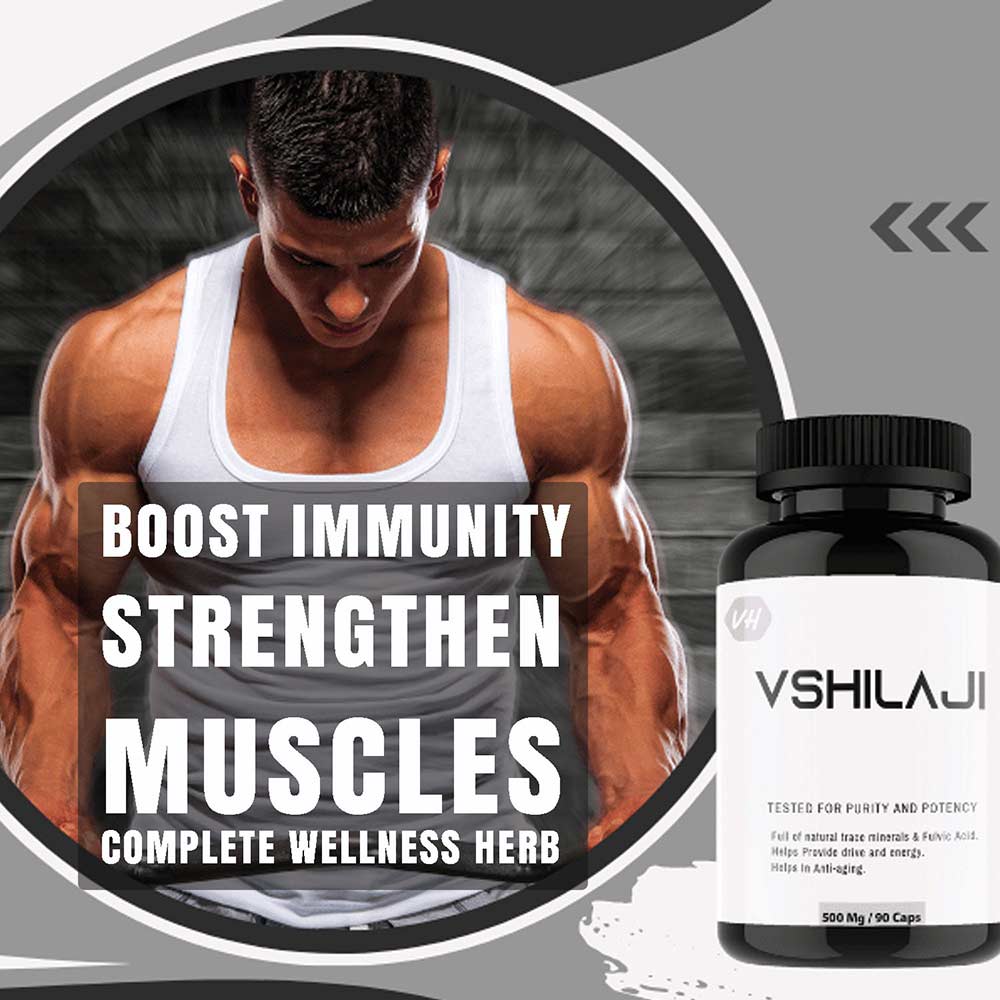 3 - Vitaminhaat Shilajit,  90 capsules 