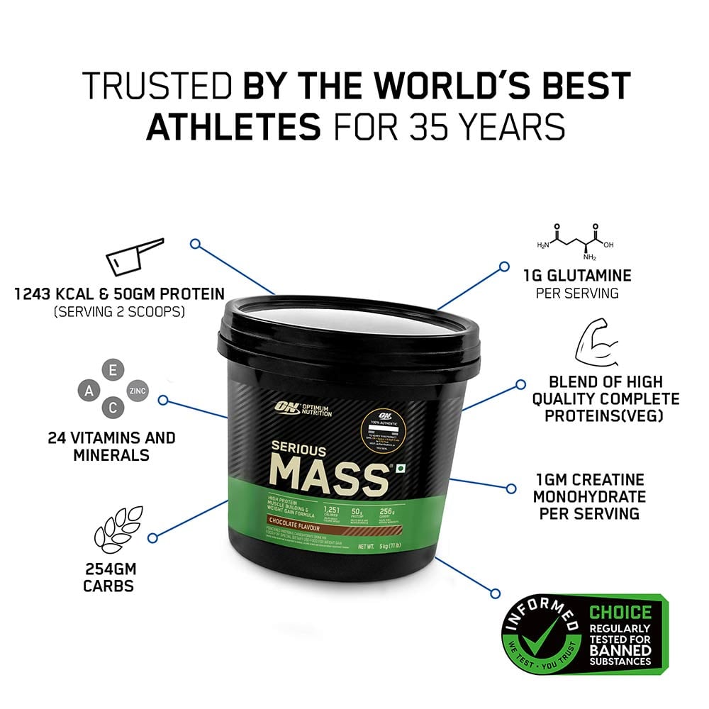 2 - ON (Optimum Nutrition) Serious Mass,  11 lb  Chocolate 
