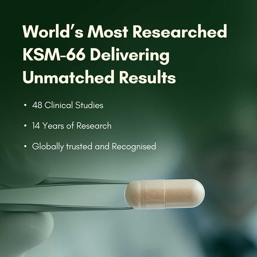 2 - Rasayanam Ashwagandha KSM-66,  60 capsules 