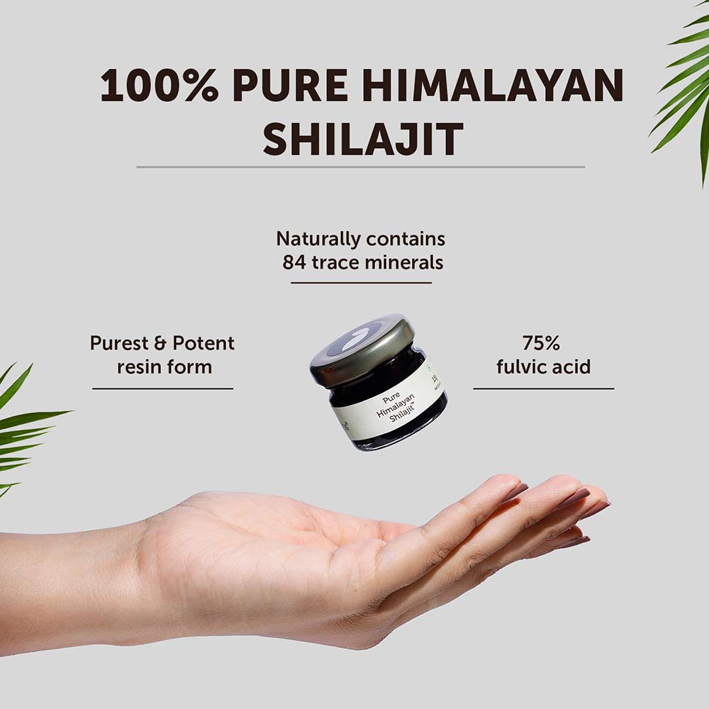 2 - Neuherbs Pure Himalayan Shilajit,  20 g 