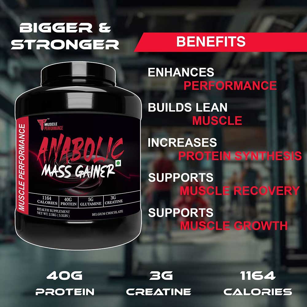 6 - Muscle Performance Anabolic Mass Gainer,  5.5 lb  Belgium Chocolate with Steel Shaker 