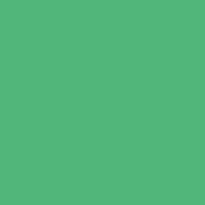 NYX Glitter On The Go,   10 Eco Green  Glitter 