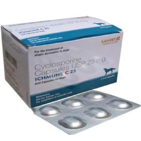 Sava Healthcare Ichmune Cyclosporine, Capsules 25 mg at Best