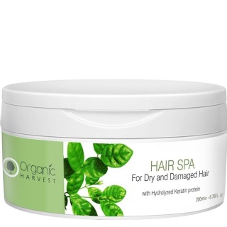 Hair Spa at Best Price in India Hair Spa at Best Price in India