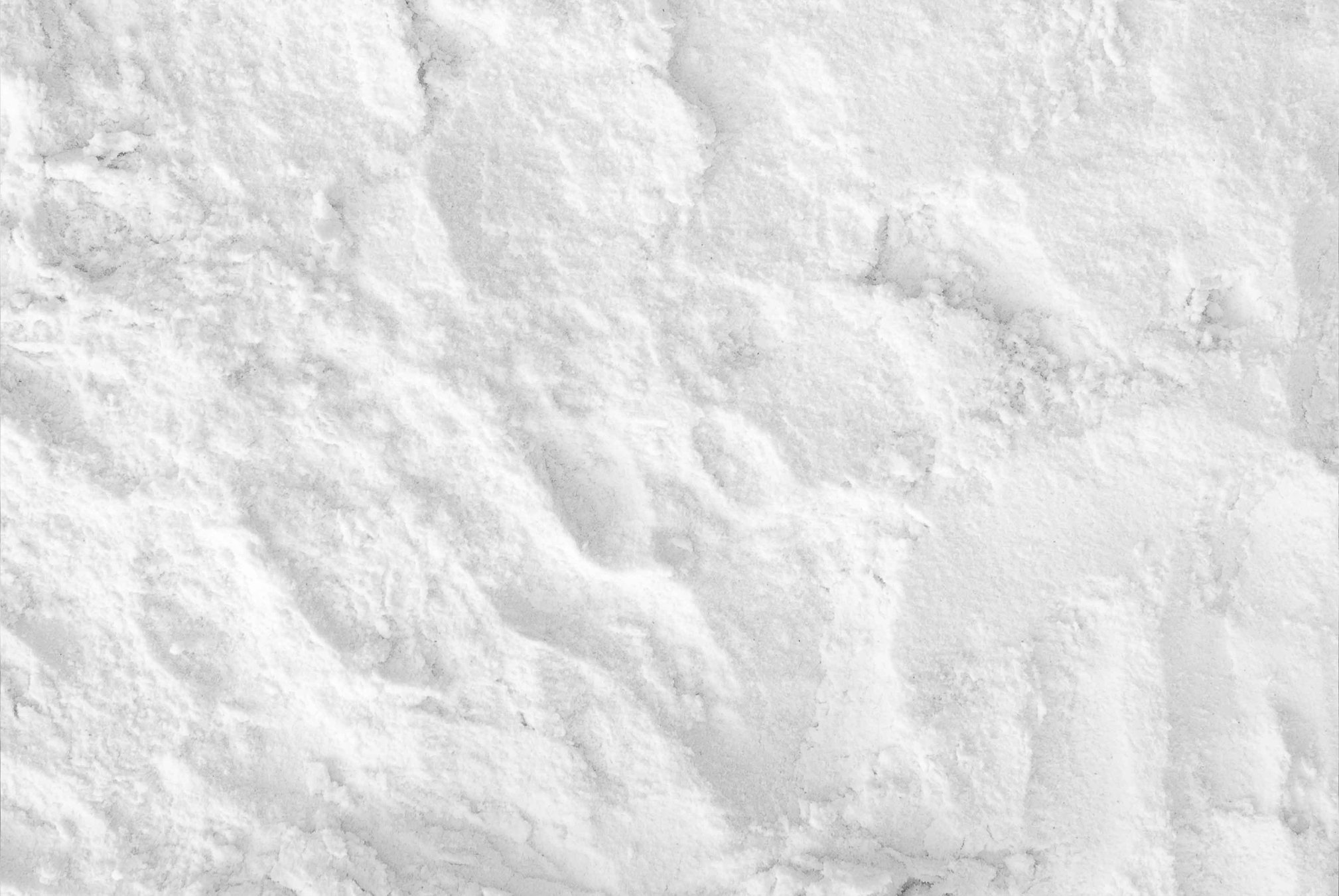 Detail image