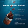 4 - TrueBasics Heart Omega-3 Antarctic Krill Oil, 30 capsules