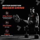 11 - Fuel One Whey Max,  2.2 lb  Chocolate Hazelnut