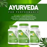 https://img6.hkrtcdn.com/13505/prd_1350445-MuscleBlaze-Ayurveda-for-Performance-MuscleHerb-with-Ashwagandha-Shatavari-Safed-Musli-30-tablets-Unflavoured_o.jpg