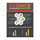 https://img6.hkrtcdn.com/45046/prd_4504585-MuscleBlaze-Biozyme-Whey-PR-4.4-lb-Molten-Chocolate-Cake_o.jpg