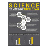 https://img6.hkrtcdn.com/45331/prd_4533055-MuscleBlaze-Biozyme-Performance-Whey-4.4-lb-Chocolate-Hazelnut_o.jpg