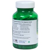 back - Paithan Eco Foods Eco Ensulin,  90 veggie capsule(s) 