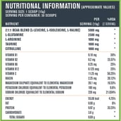 supplement - Fast & Up BCAA,  0.99 lb  30 Servings  Green Apple 