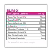 supplement - Protein Scoop Slim-X, 90 capsules Unflavoured