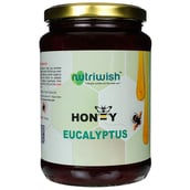 1 - Nutriwish Honey, 1000 g Eucalyptus