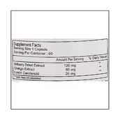 supplement - Healthvit Ginkgo Biloba (60mg),  60 capsules 