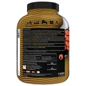 back - Avvatar Absolute Isorich,  4.4 lb  Chocolate 