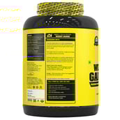 back - Absolute Nutrition Weight Gainer,  6.6 lb  Chocolate 