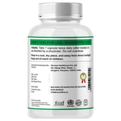 use - NutraFirst Milk Thistle Extract,  60 capsules 