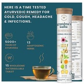 Wellbeing Nutrition Grandma's Kadha Reimagined Herbal Healing