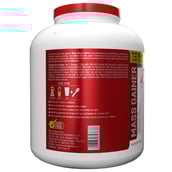 description - Maxn Mass Gainer,  6 lb  Chocolate Mint 