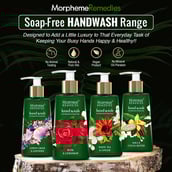 Benefits - Morpheme Remedies Hand Wash,  Rose & Geranium  250 ml  Anti Bacterial 
