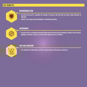 3 - TrueBasics Immuno Charge Amla,  60 tablet(s)  Lemon 