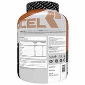 supplementinfo - Procel Ketowhey Ketogenic Protein Powder,  4.4 lb  Chocolate Cheesecake 