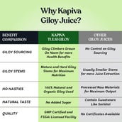 7 - Kapiva Wild Giloy Juice (Natural Immunity Booster),  Unflavoured  1 L 