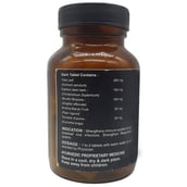 supplementinfo - PAX Naturals Immunity Booster Kudineer,  60 tablet(s) 