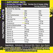 supplement - SNT Monster Mass,  2.2 lb  Chocolate 