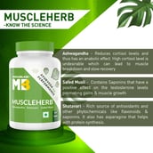 12 - MuscleBlaze Ayurveda for Performance - MuscleHerb with Ashwagandha, Shatavari & Safed Musli,  30 tablet(s)  Unflavoured 