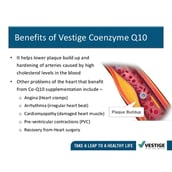 benefits - Vestige Coenzyme Q10 Pack of 2,  30 capsules 