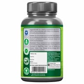 back - Nutrainix Iron with Vitamin C,  90 capsules  Natural 