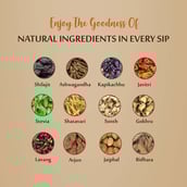 1 - Upakarma Ayurveda Pure Shilajit Tea, Unflavoured 20 sachets/pack