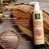 2 - Organic Harvest Organic Colour Protection Conditioner,  200 ml  for All Types of Hair 