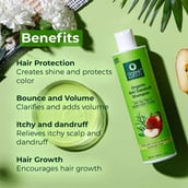 2 - Organic Harvest Organic Anti Dandruff Shampoo,  250 ml  for All Types of Hair 