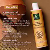 2 - Organic Harvest Organic Colour Protection Shampoo,  250 ml  for All Types of Hair 
