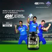 2 - ON (Optimum Nutrition) Serious Mass,  6 lb  Chocolate 