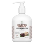 1 - Vanalaya Cocoa Butter & Shea Butter Moisturizing Lotion,  300 ml  Dry Skin 