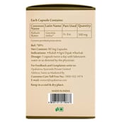 2 - Upakarma Ayurveda Garcinia Cambogia 500mg,  90 capsules 