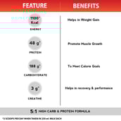 6 - Six Pack Nutrition Massive Mass Gainer,  2 lb  Dark Chocolate 